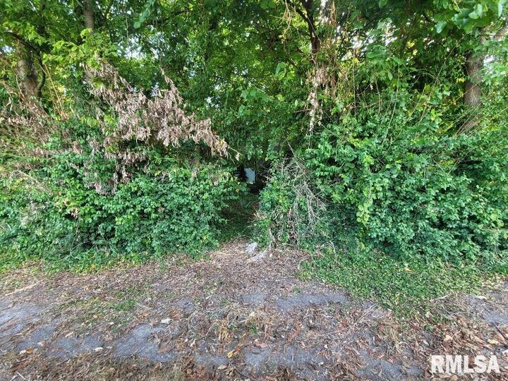 Property Photo: 1116 S Holland Street IL 62946