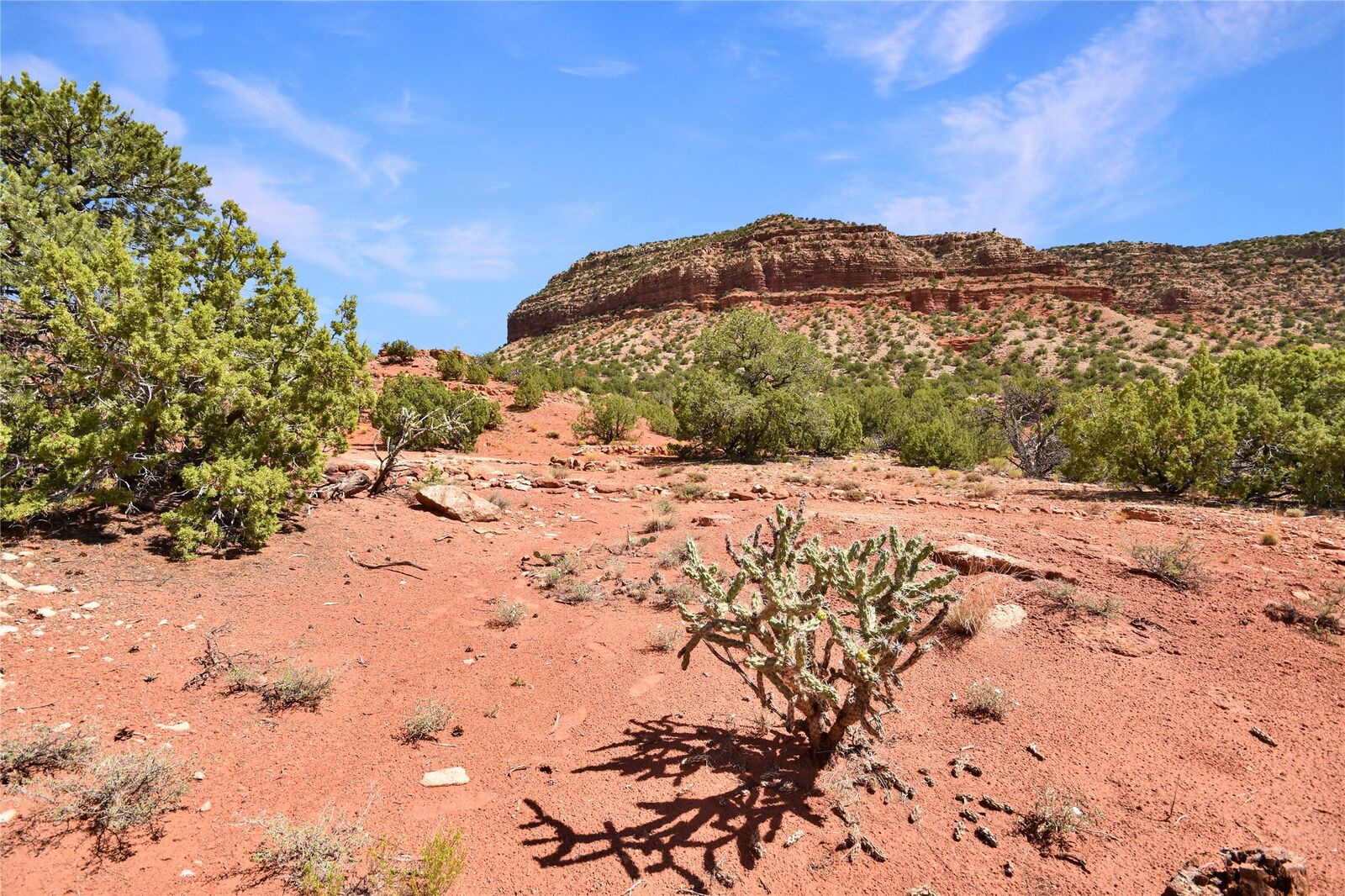 Property Photo: Lot 5A Unit 1 Vista Hermosa NM 87024