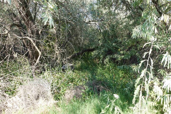 Property Photo: 1930 Jericho Rd WA 99352