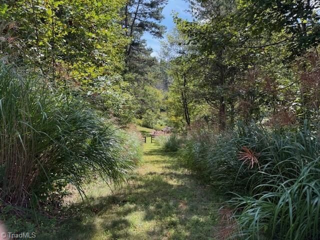 Property Photo:  33 Ashe View Drive  NC 28651 