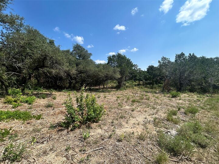 Property Photo:  18310 Austin Drive  TX 78645 