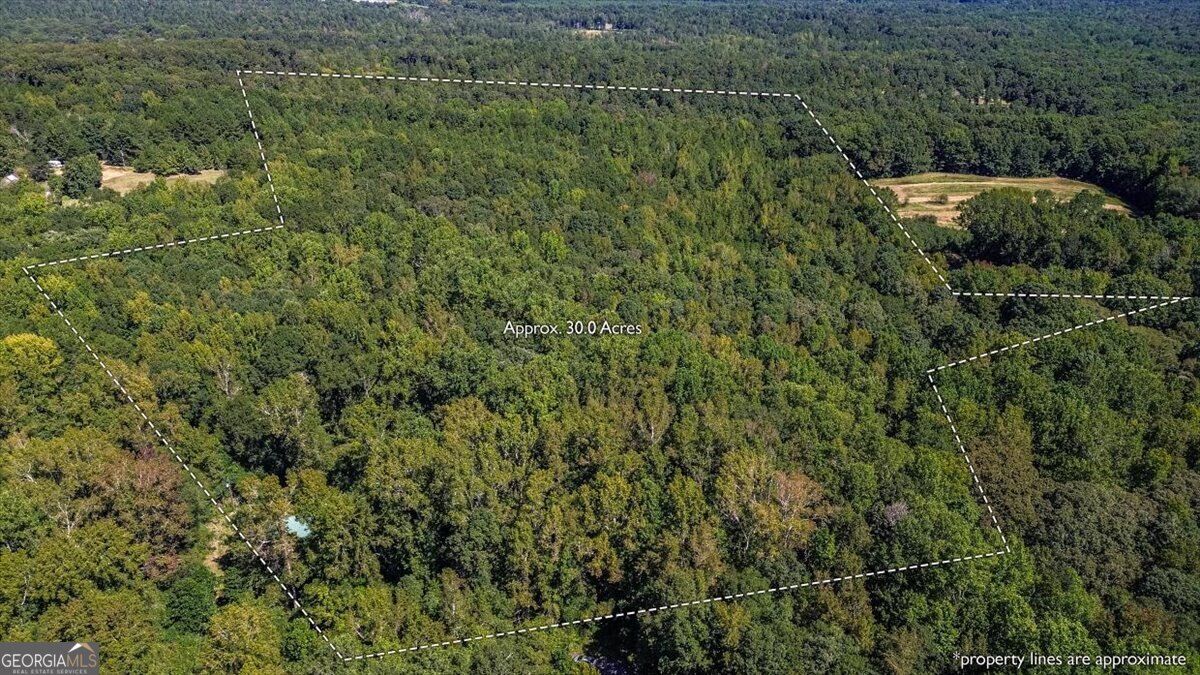 Property Photo: 404 Haggard Drive GA 30633