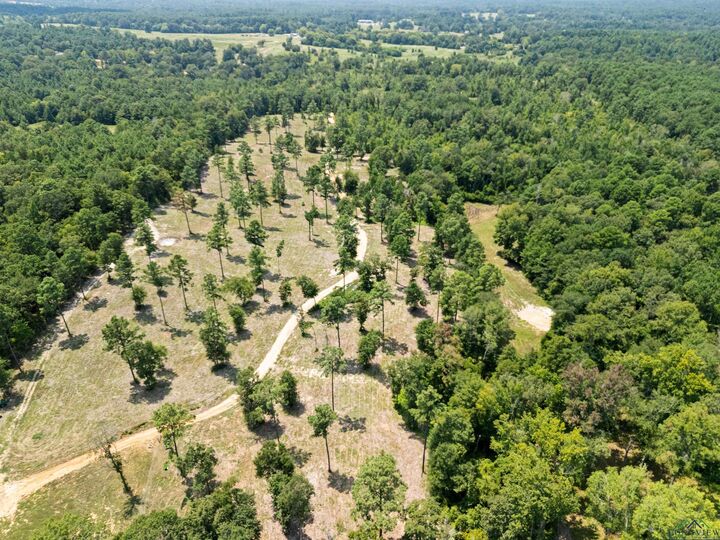 Property Photo: Tbd N Cr 2132 TX 75691