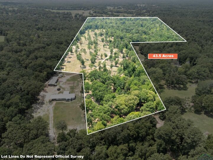 Property Photo:  Tbd N Cr 2132  TX 75691 