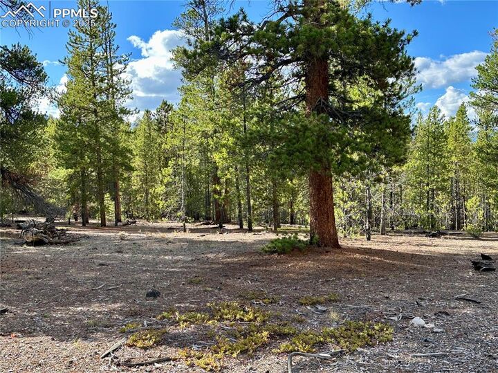 Property Photo:  143 Fir Drive  CO 80461 