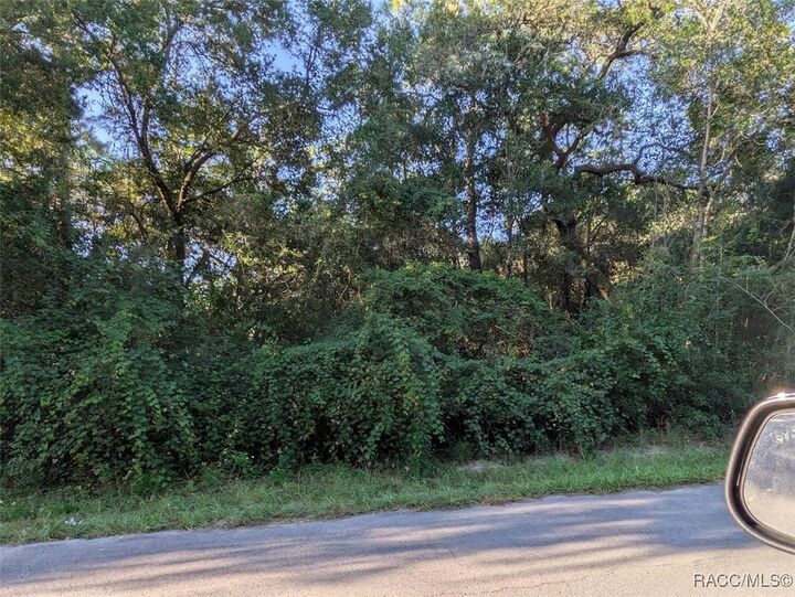 Property Photo:  3248 E Scofield Street  FL 34453 