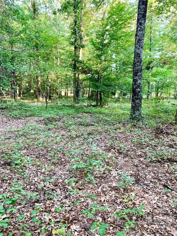 Property Photo:  0 Archer Grove School Road Tract B  GA 30607