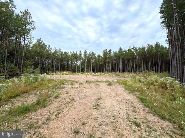 Property Photo: 26.89 Ac N. Texas Road WV 26714