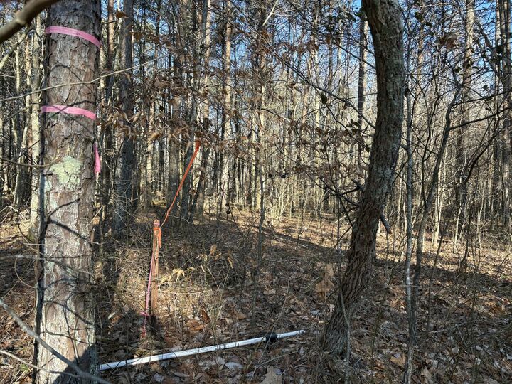 Property Photo:  3 Timber Ridge Drive  TN 37347 