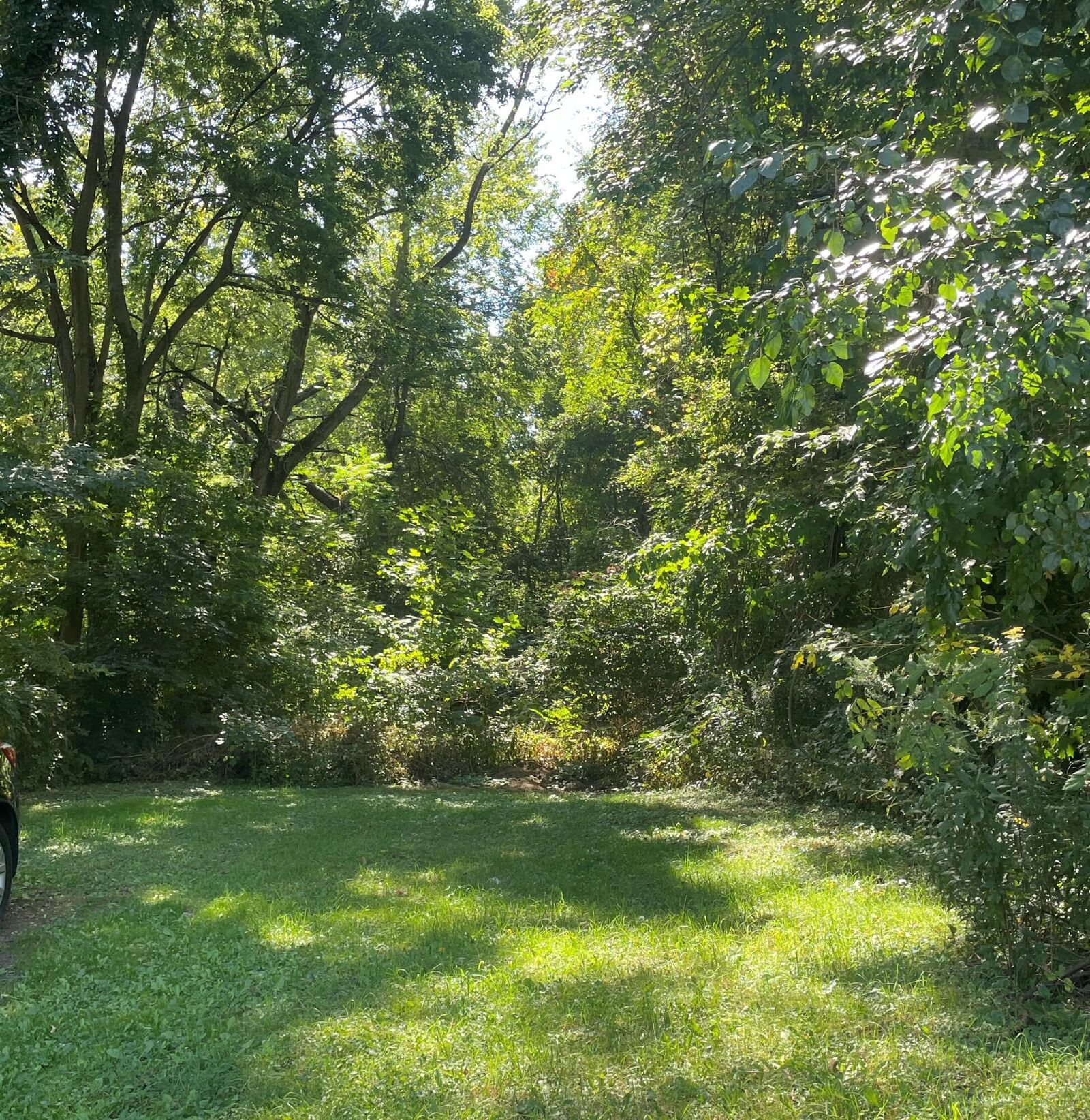 Property Photo: 1522 Sallwasser Avenue IN 46350