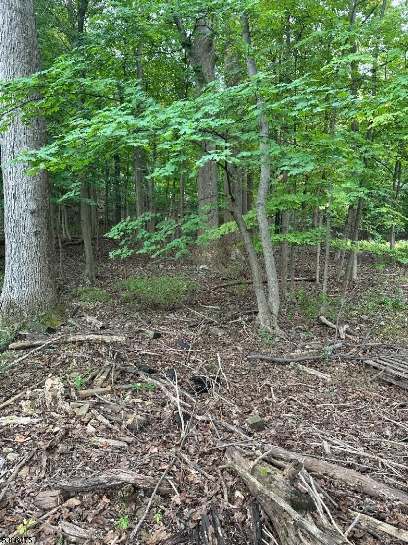 Property Photo: 86 Chestnut St NJ 07960