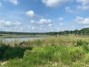 Property Photo:  County Road 48  FL 34797 