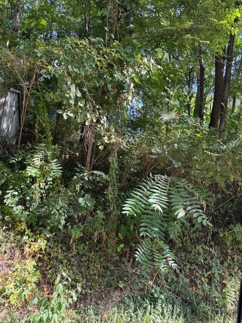 Property Photo: 0 Bradley Hollow Road TN 37083