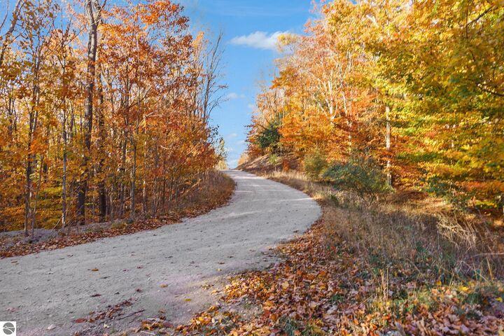 Property Photo:  0 Treetops Lane  MI 49635 