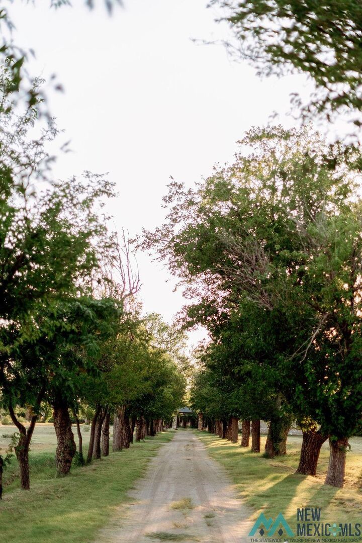 Property Photo:  1301 N Canal Street  NM 88220