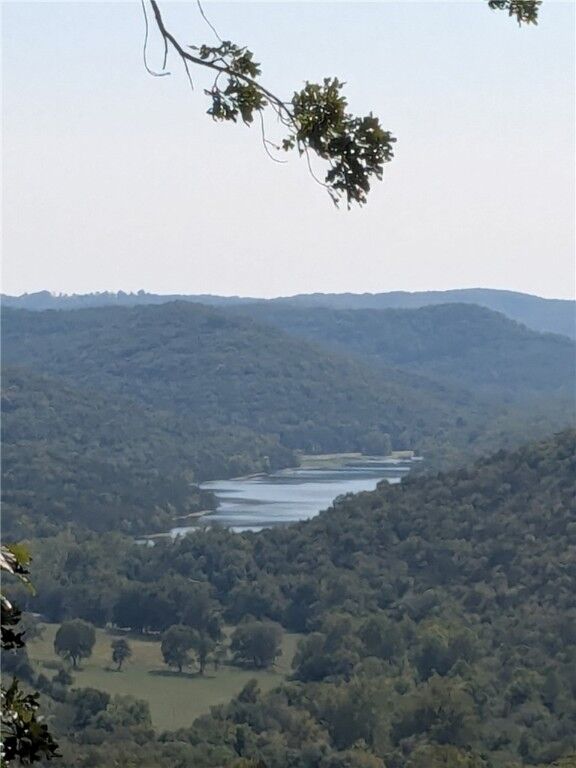 Property Photo:  35 Cypress Point Lane  AR 72631