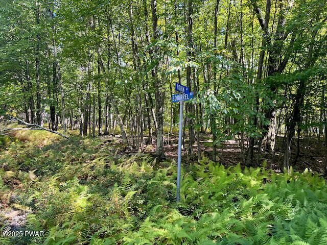 Property Photo:  Lot 425 Corner Squirrel &Amp Robin Lane  PA 18328 