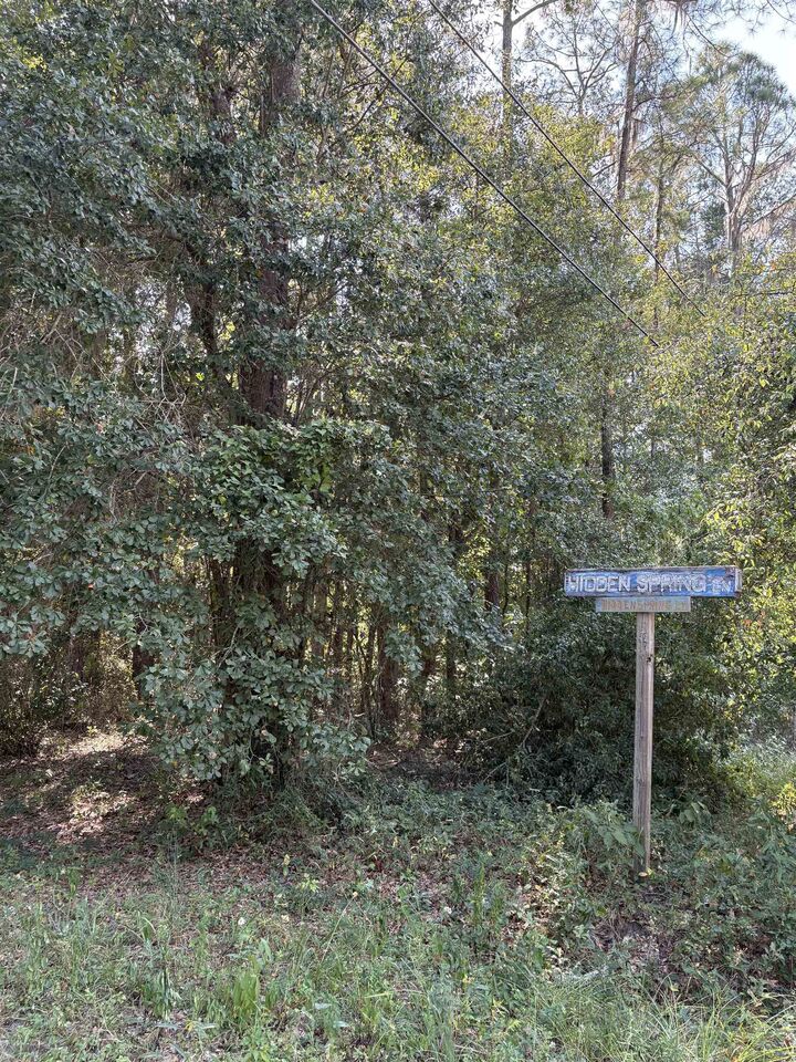 Property Photo:  0 Collins Landing (Lot 4)  FL 32310 