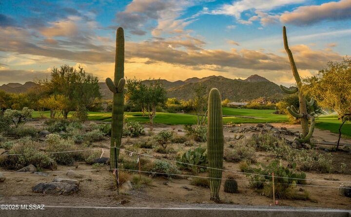Property Photo:  14311 N Giant Saguaro Place  AZ 85755 