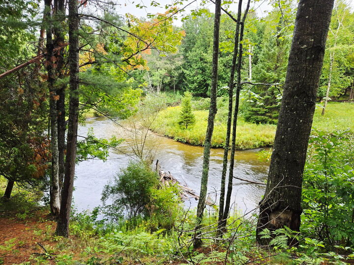 Property Photo:  7693 S Straits Highway  MI 49749 