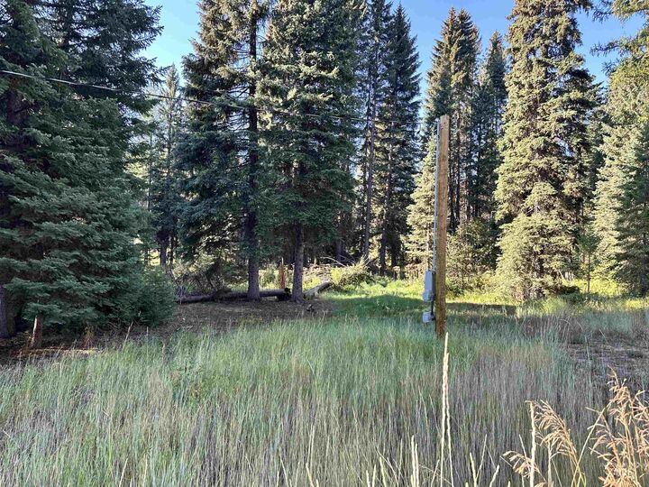 15 Andy  Donnelly ID 83615 photo