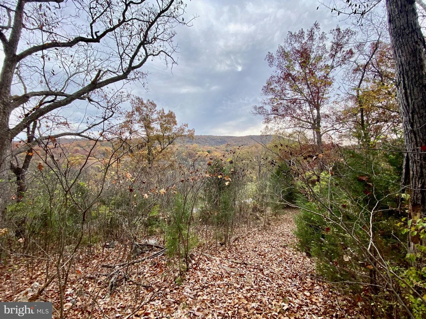 Property Photo:  0 Old Cave Road  VA 22630 