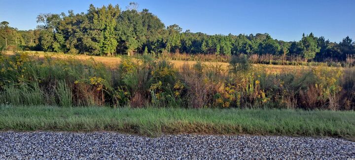 Property Photo:  Tbd Wee Tee Rd.  SC 29510 