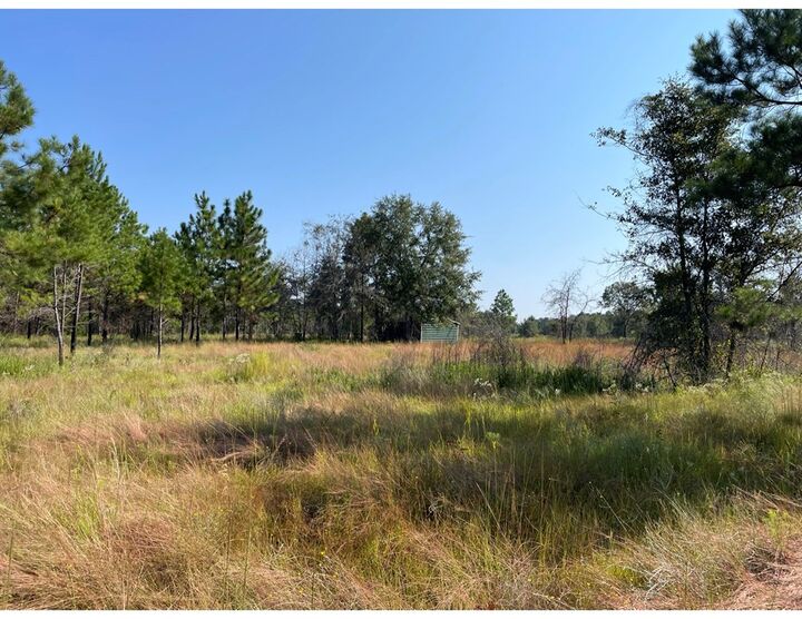 Property Photo:  0 Rebecca Waterloo Highway  GA 31783 
