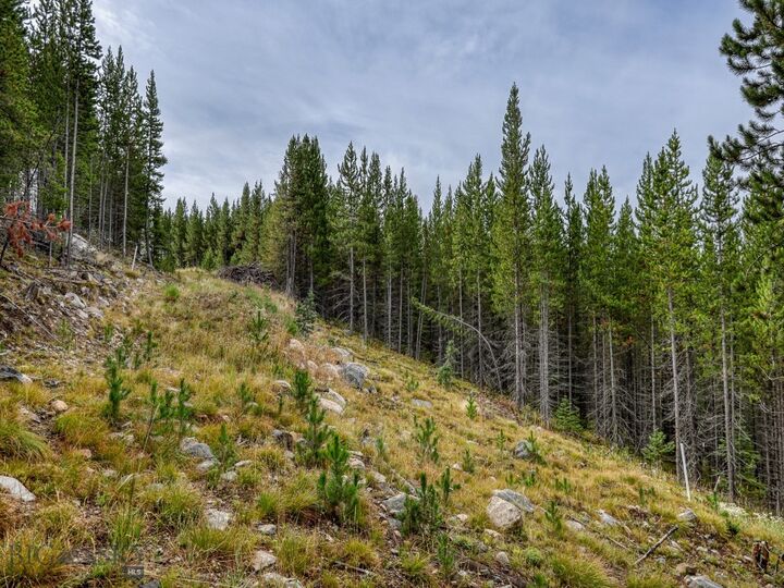 Property Photo: 89 Summit View MT 59716