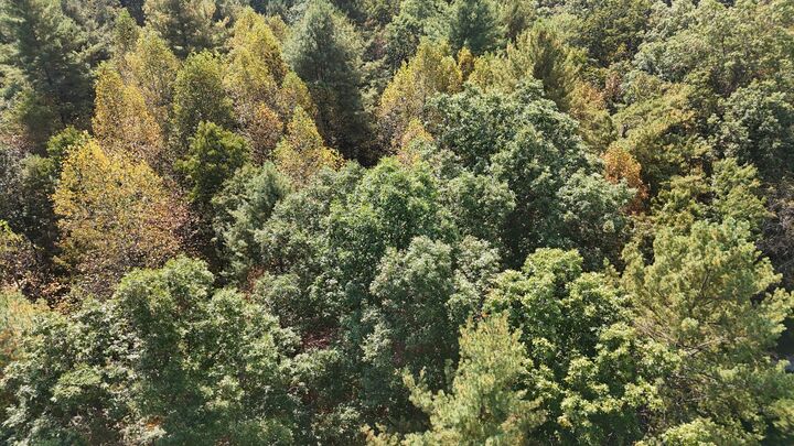 Property Photo:  359 Four Oaks Ln  WV 24925 