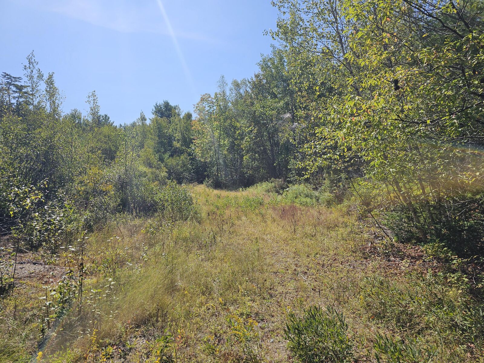 Property Photo: M 3, L 9 Off Eastern Ridge Road ME 04654