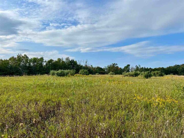 Property Photo:  00 Skinner Road  MI 49729 
