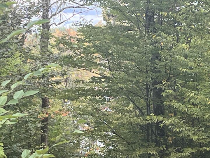 Property Photo:  Lot A-7 Russells Cove Road  NS B0R 1A0 