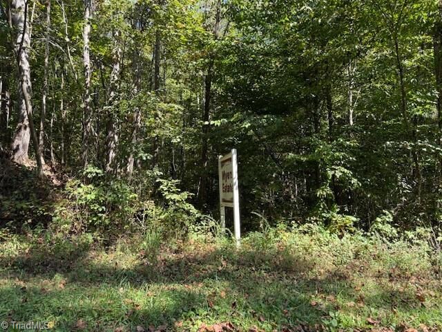 Property Photo:  5 Arlie Myers Store Road 5  NC 28649 