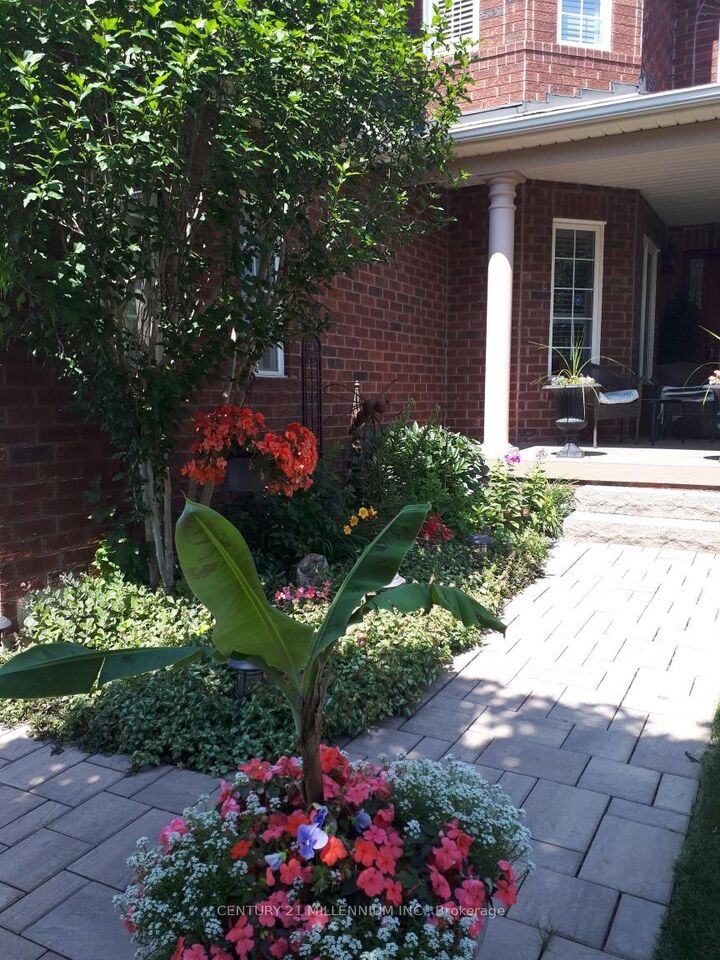 Property Photo:  6 Collingwood Avenue  ON L7A 2E5 