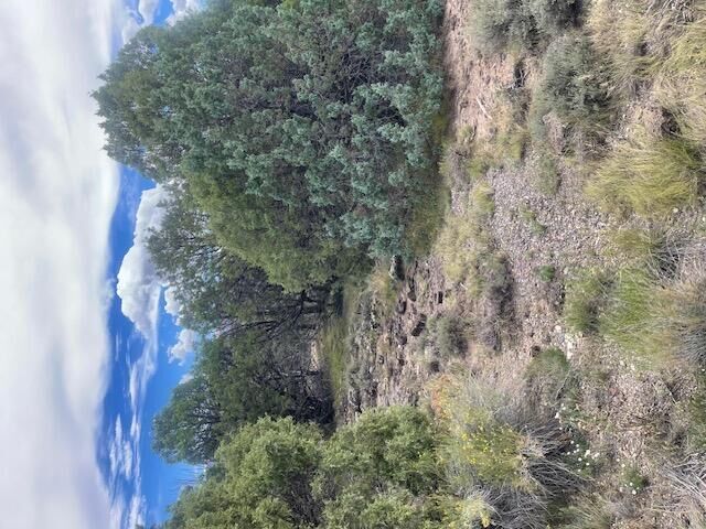 Property Photo: 1091 S Old US Hwy 89 UT 84735