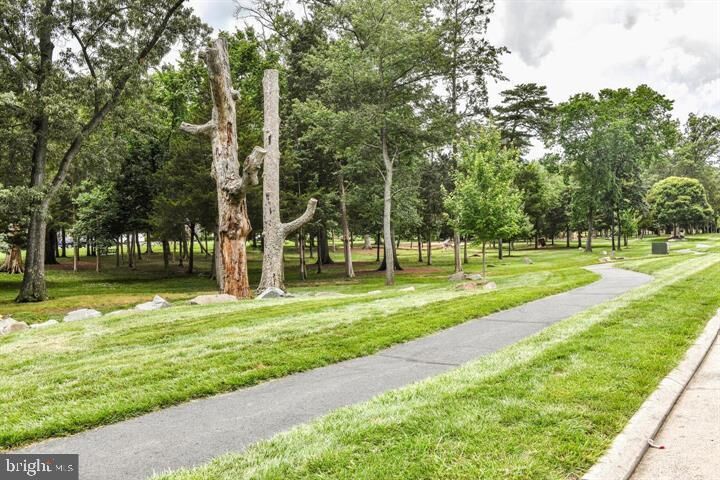 Property Photo:  42539 Mayflower Terrace 204  VA 20148 