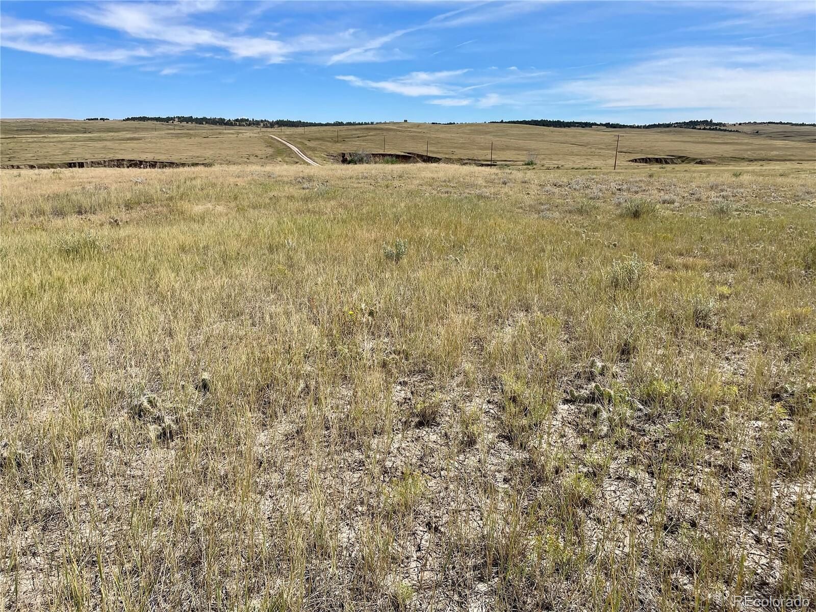 Property Photo:  17 County Road 77  CO 80808 