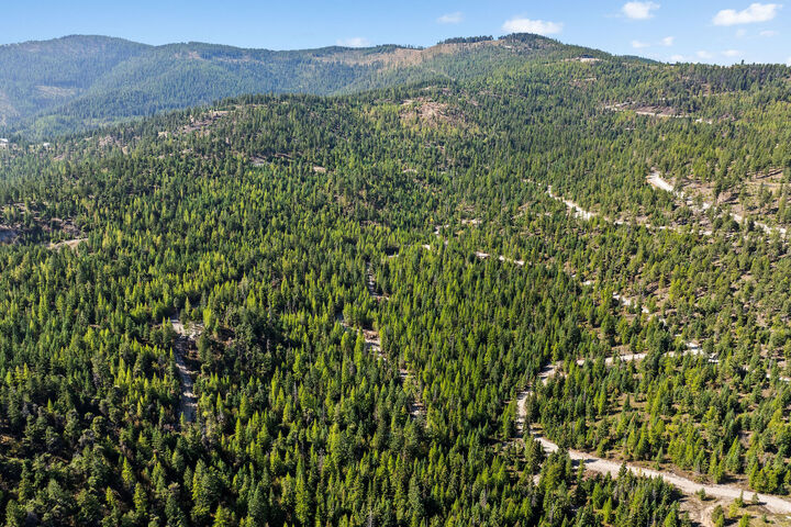 Property Photo: Nhn (Tract 10) Boon Road MT 59932