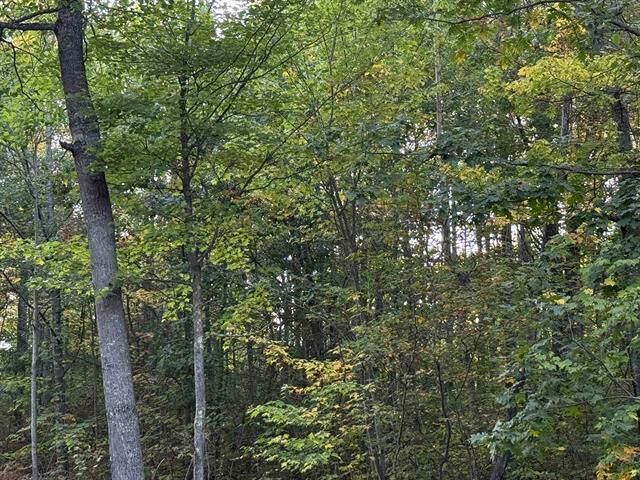 Property Photo: 000 Old Hwy 2 WI 54847