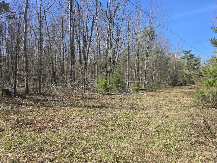 Property Photo: Iroquois Trail MI 49735