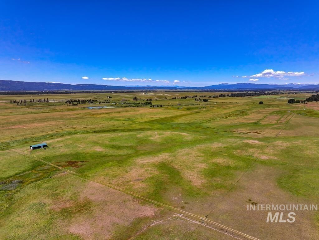 Property Photo:  13239 Finlandia Rd.  ID 83615 