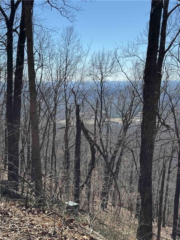 Property Photo: 7349 Starlight Lane GA 30143