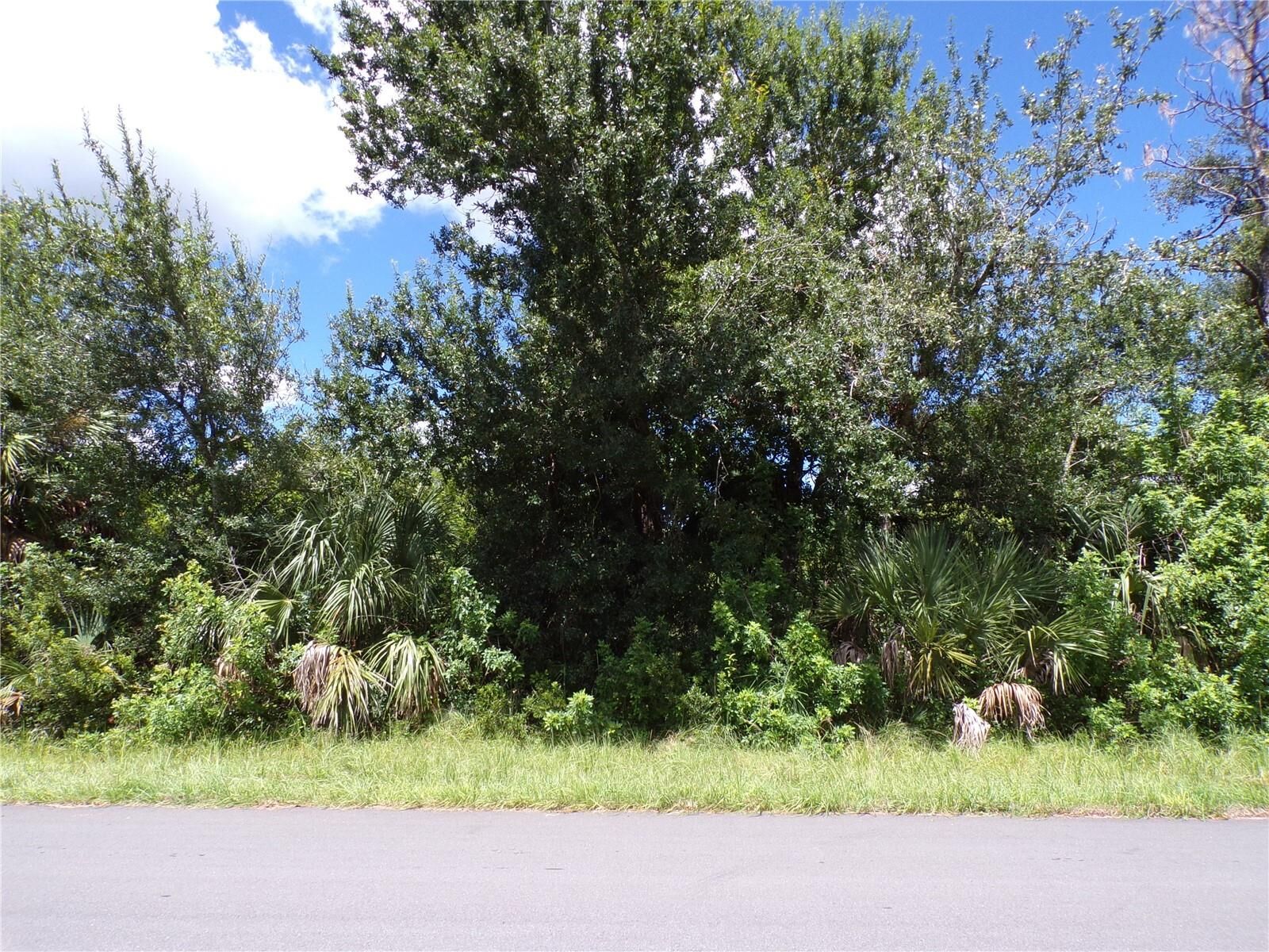 Property Photo:  11256 Reinhardt Avenue  FL 34224 