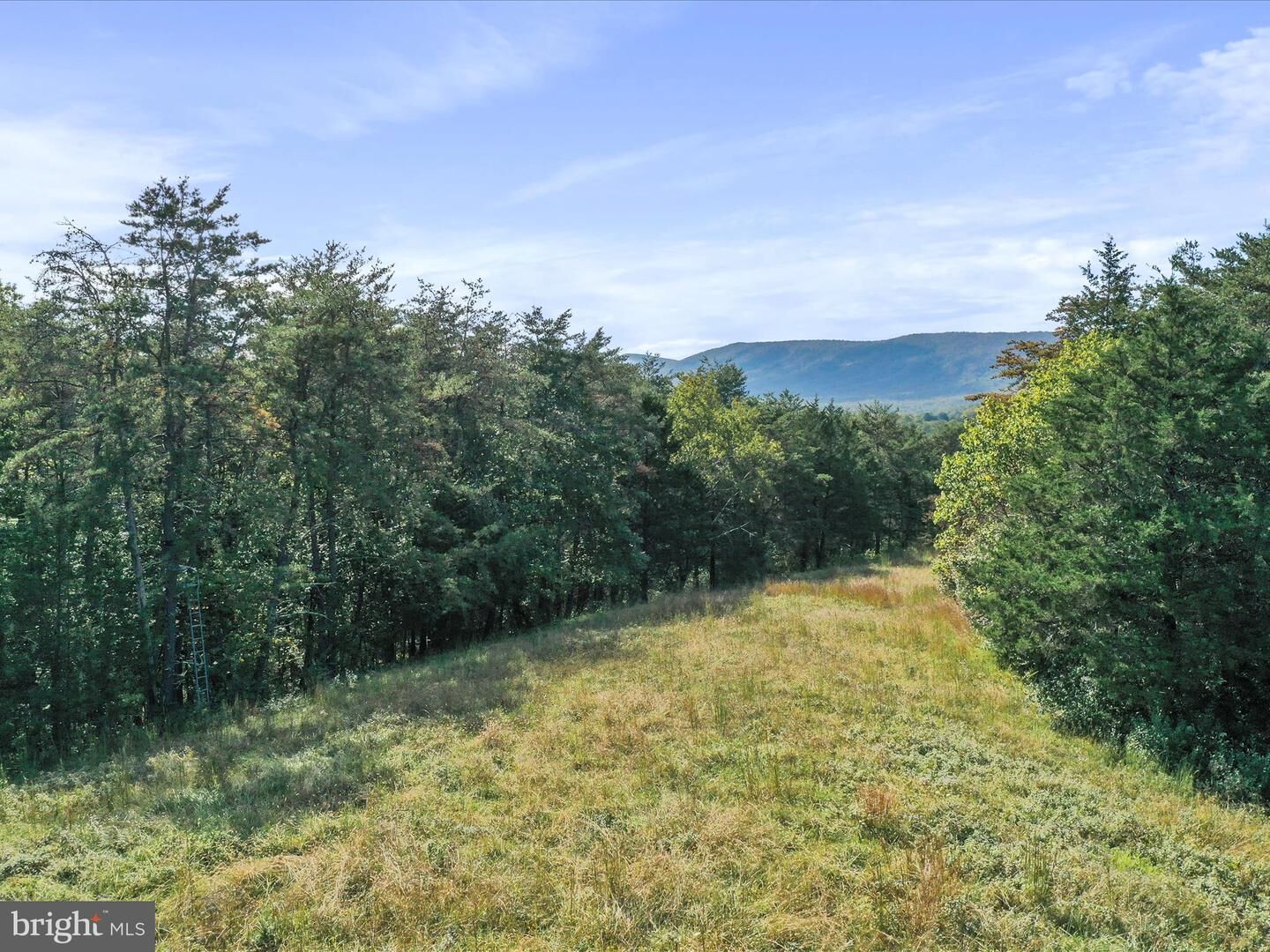 Property Photo: 574 Mountain Slope Lane VA 22652