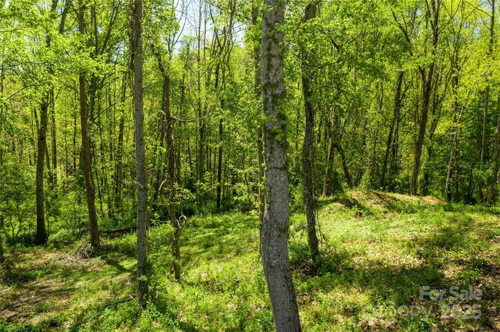 9999 Bee Balm Way 55  Asheville NC 28804 photo