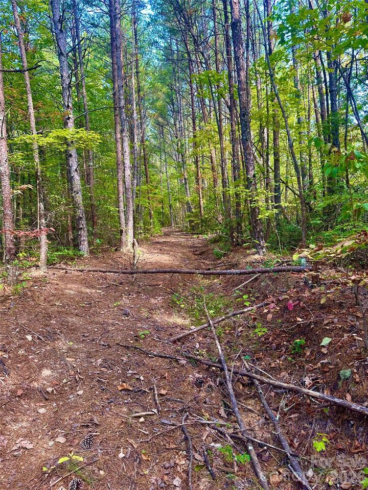 Property Photo: 366 Boland Drive NC 28746