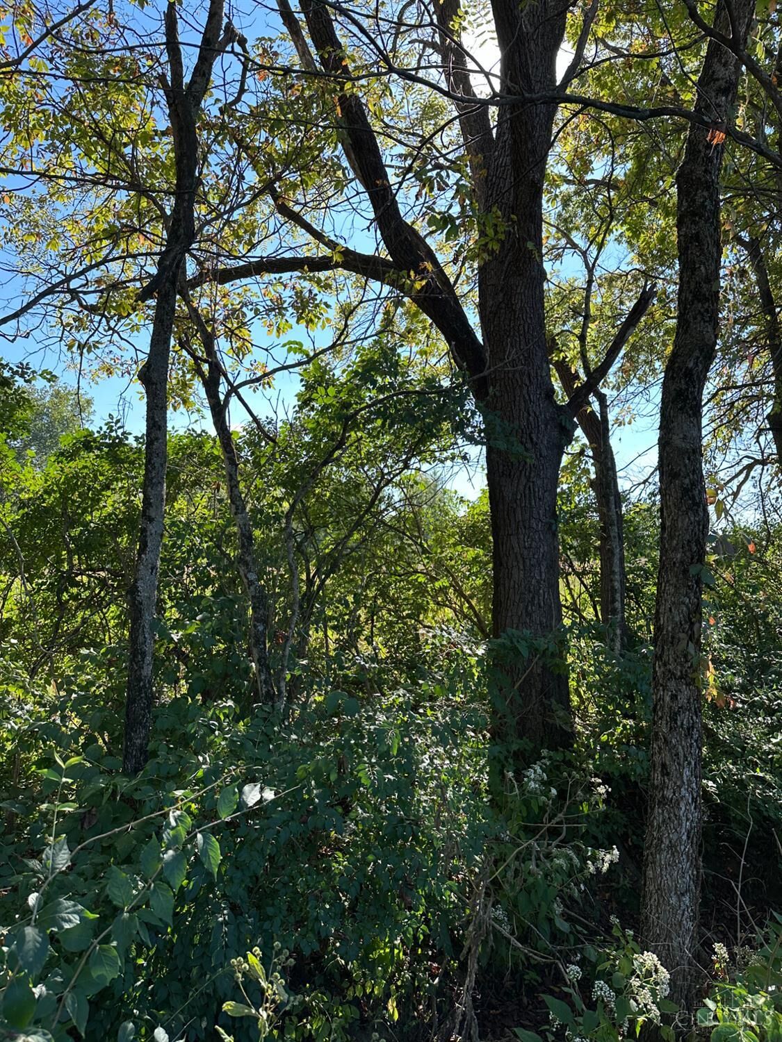 Property Photo:  0 Liberty Keuter Road  OH 45036 