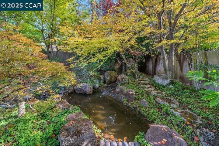 Property Photo: 517 Heather Grove Ct CA 94598