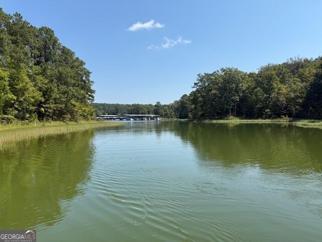Property Photo:  2012 Lakeside Drive Lot 47 / Beaverdam Lot 48  GA 30635 